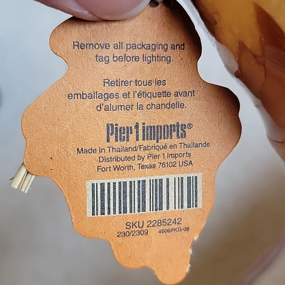 Pier 1 Imports fall harvest spice leaf candle